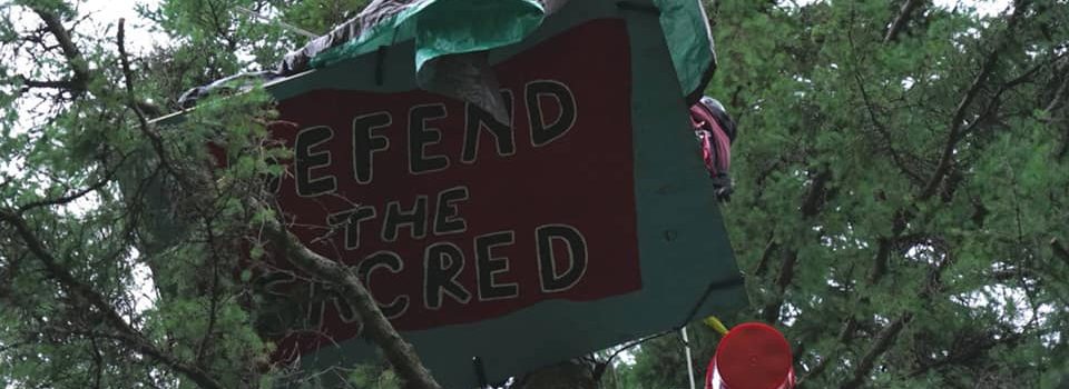 Two Indigenous Water Protectors Ascend Trees and Stop Line 3 Construction