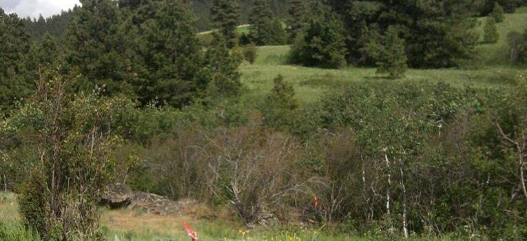 Army Corps of Engineers Halts Highway 95 Construction near Moscow