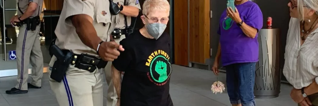 Six arrested in Sacramento while protesting JDSF logging