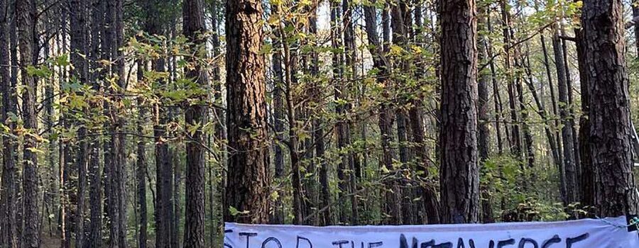 Press Release: Multiple State and Local Police Agencies Violently Raid Weelanuee Forest Music Festival, Week of Action Perseveres